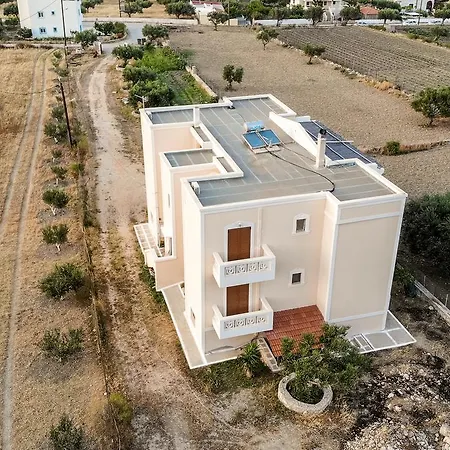 Olive Epavlis Karpathos Town (Pigadia)