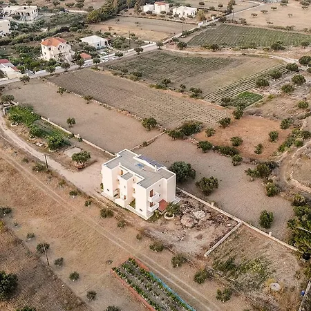 Olive Epavlis Apartment